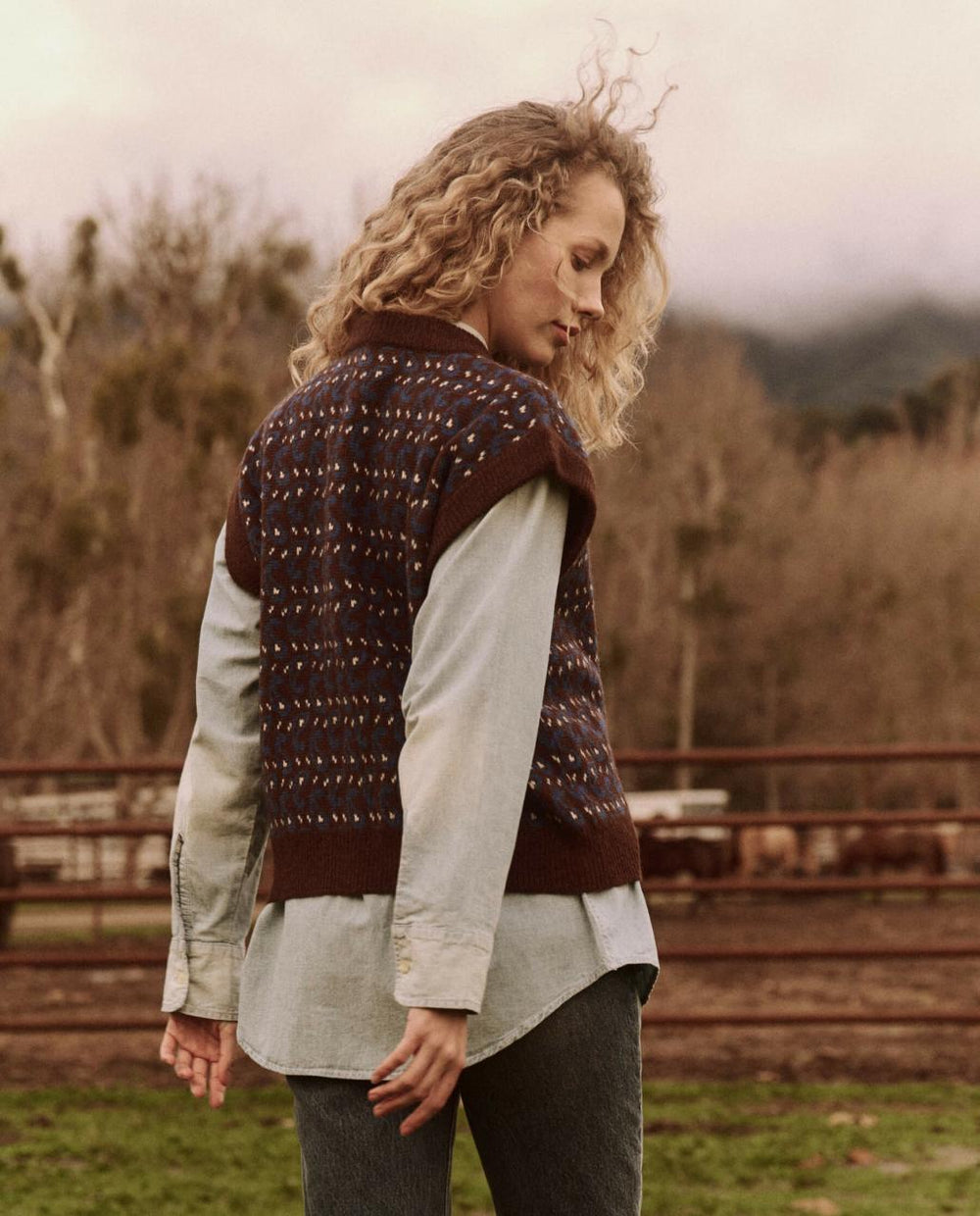 The Great. Sweaters | The Sweater Vest. Driftwood Paisley - Women