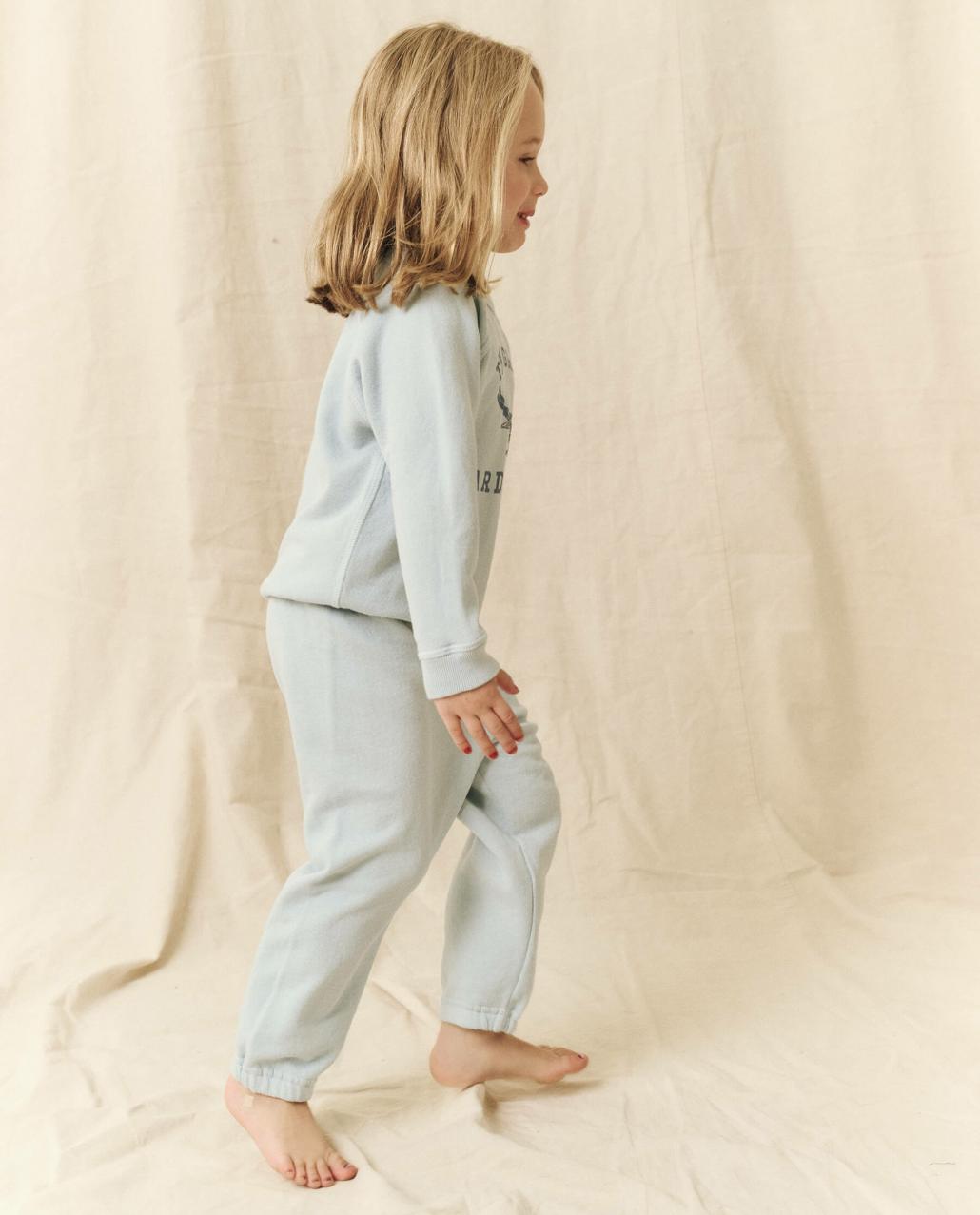 The Great. Tees &amp; Sweats | The Little College Sweatshirt. Graphic Light Sky With Perched Cardi - Kids
